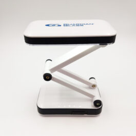 LED Folding Desk Lamp
